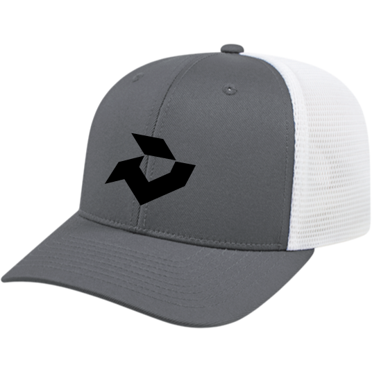 DeMarini Grey/White Snapback Trucker