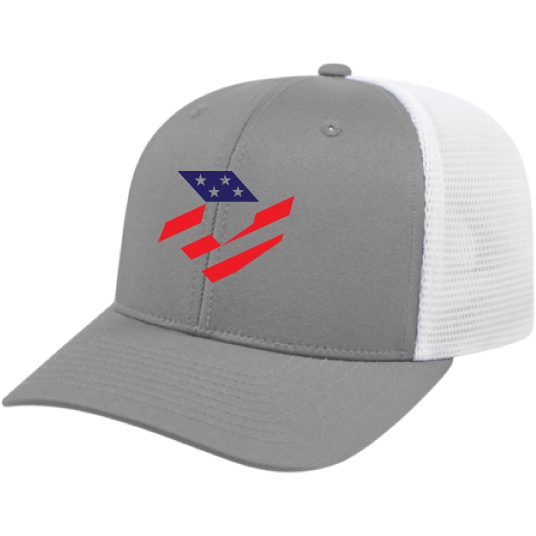 DeMarini Stars & Stripes Snapback Trucker - Gray